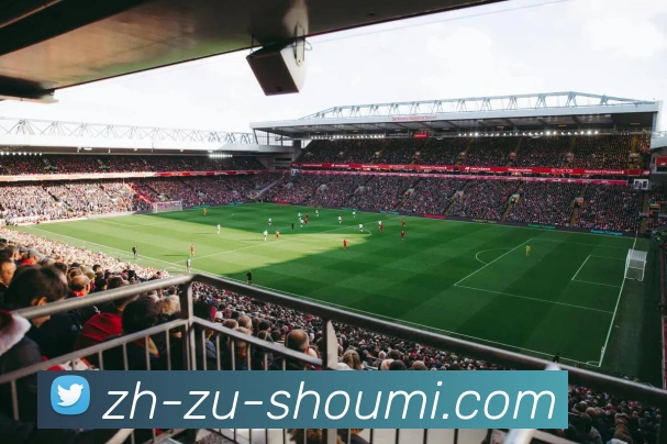 收米体育直播平台生态图