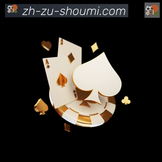 未来规划