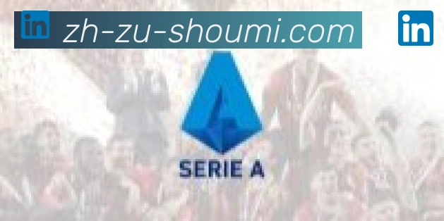 收米体育直播合作伙伴